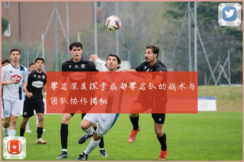 攀岩深度探索成都攀岩队的战术与团队协作揭秘